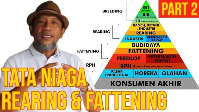 Tata Niaga Bisnis Sapi Rearing & Fattening.JPG
